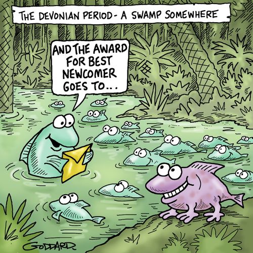 "And the award for best newcomer goes to..."