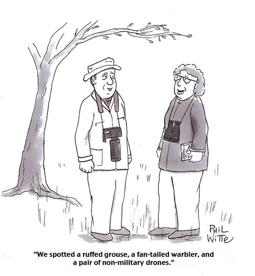 "We spotted a ruffled grouse, a fan-tailed warbler, and a pair of non-military drones."