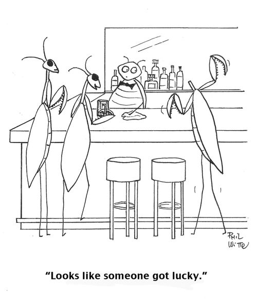 "Looks like someone got lucky."