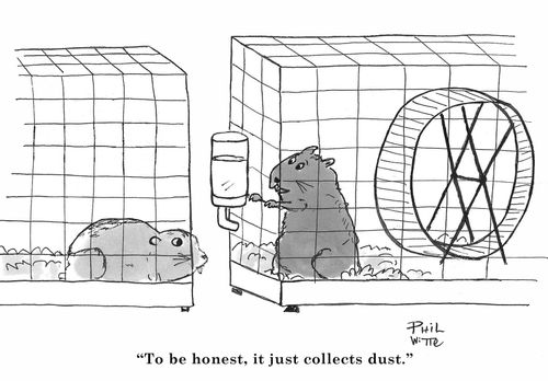 "To be honest, it just collects dust."