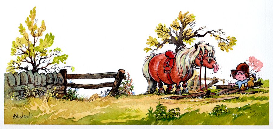 A pony throws its rider.