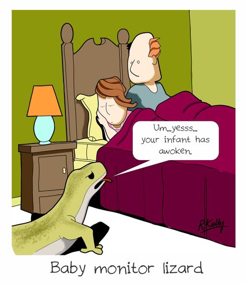 Baby monitor lizard