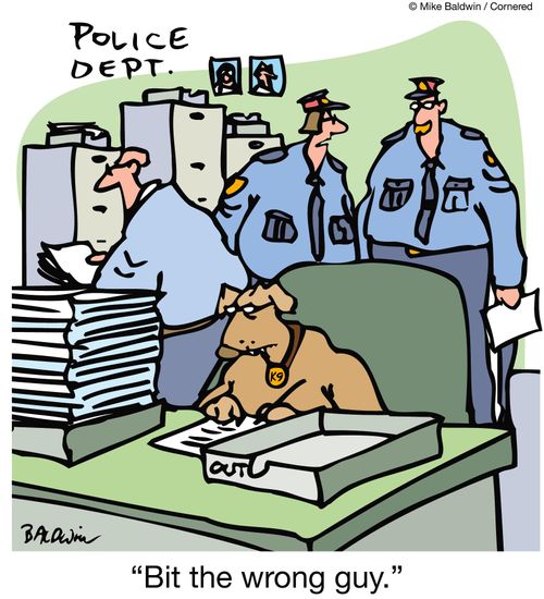 Dog in custody doing paperwork - 'Bit the wrong guy.'