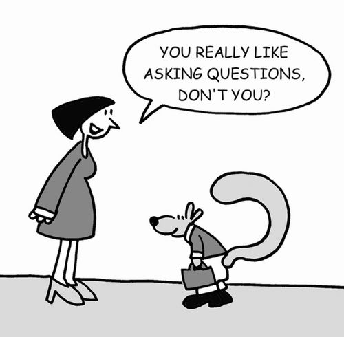 You really like asking questions, don't you? 