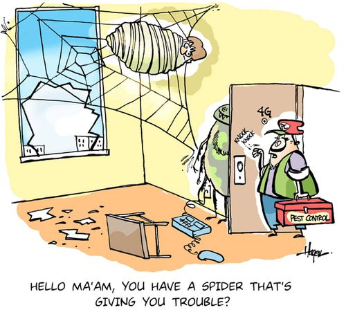 'Hello ma'am, you have a spider that's giving you trouble?'