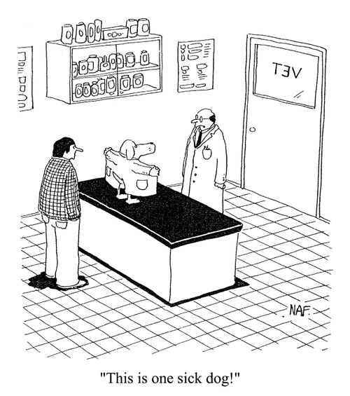 'This is one sick dog!'