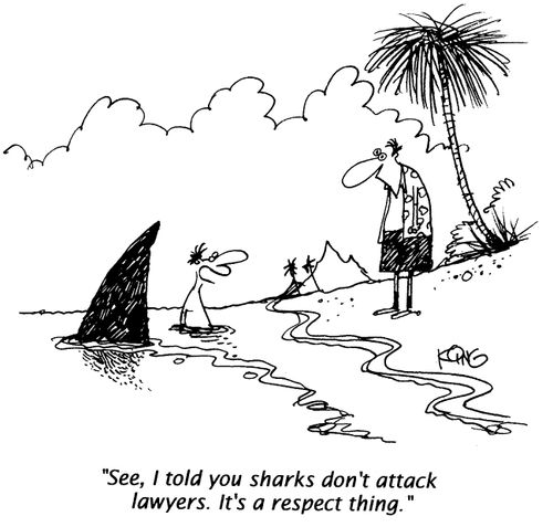 "See, I told you sharks don't attack lawyers. It's a respect thing."