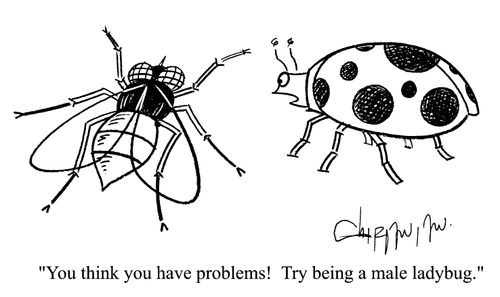 'You think you have problems! Try being a male ladybug.'