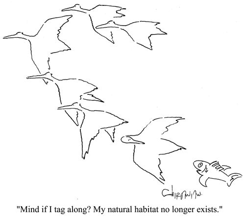 'Mind if I tag along?  My natural habitat no longer exists.'