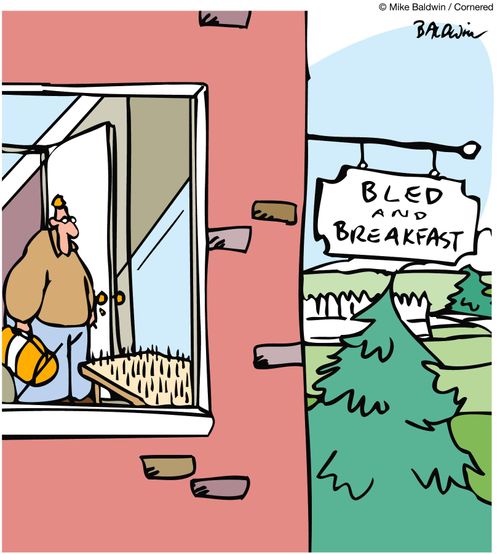 Bled and Breakfast (inside window you can see a bed of nails).