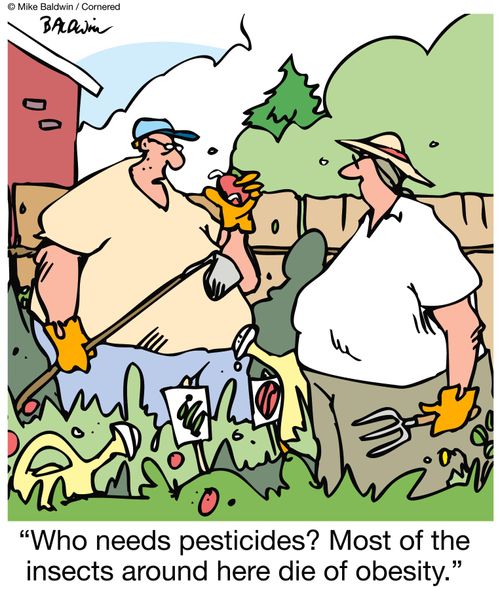 'Who needs pesticides?  Most of the insects around here die of obesity.'