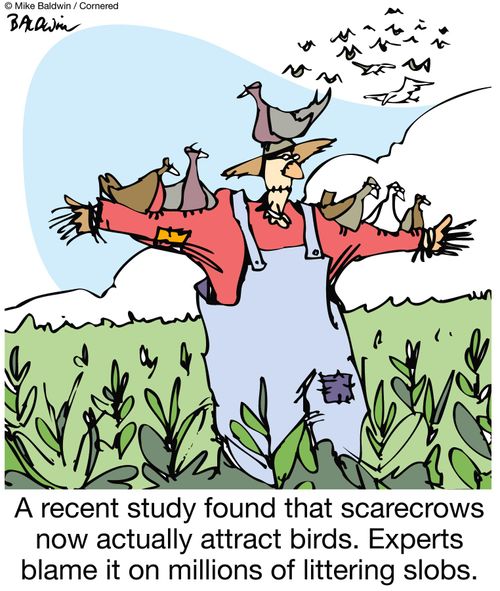 A recent study found that scarecrows now actually attract birds.  Experts blame it on millions of littering slobs.