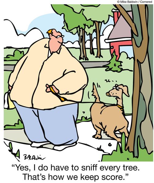 'Yes, I do have to sniff every tree.  That's how we keep score.'