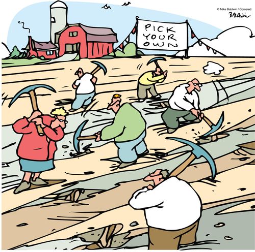 Pick your own.