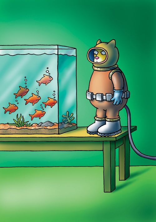 Cat in diving gear, ready to dive into the fish tank.