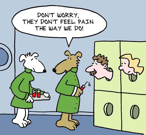 Animals Testing on Humans: 'Don't worry, they don't feel pain the way we do.'
