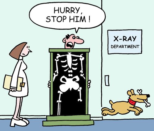 "Hurry, stop him!"  (Dog running off with bone from man's x-ray).