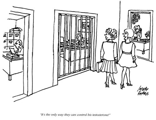 'It's the only way they can control his testosterone!'