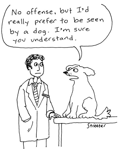 "No offense, but I'd really prefer to be seen by a dog.  I'm sure you understand."