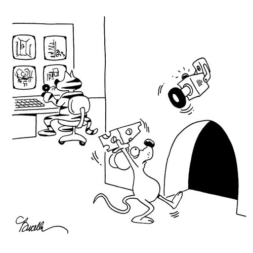 Cat and Mouse Surveillance camera