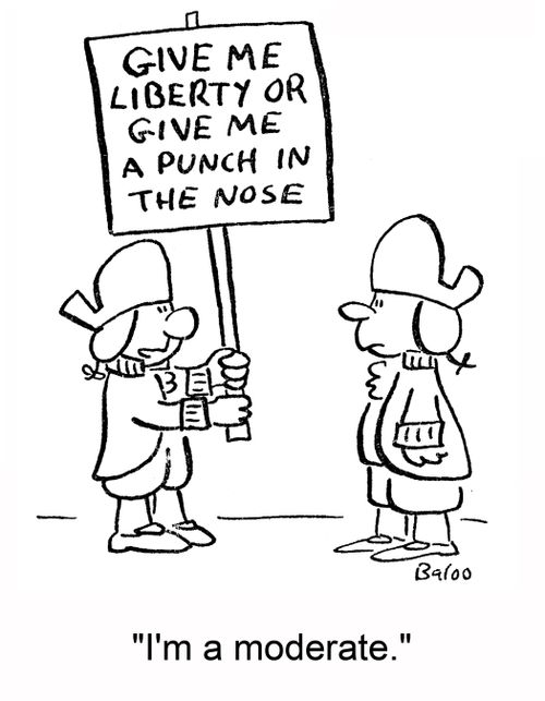 'I'm a moderate.'