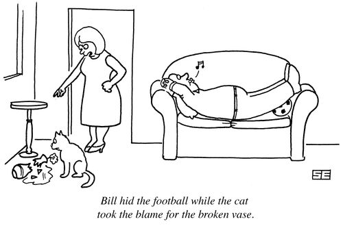 Bill hid the football while the cat took the blame for the broken vase.