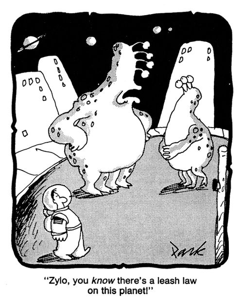 'Zylo, you know there's a leash law on this planet!'