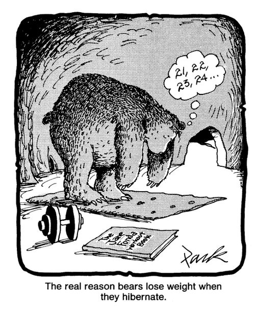 The real reason bears lose weight when they hibernate. 