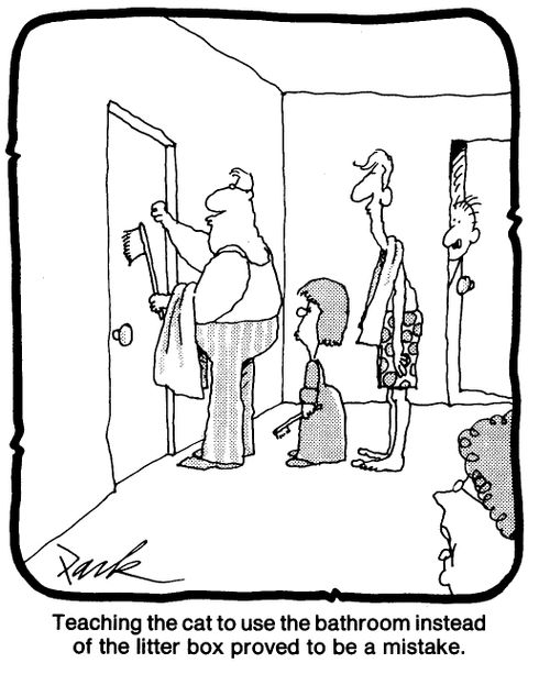Teaching the cat to use the bathroom instead of the litter box proved to be a mistake.
