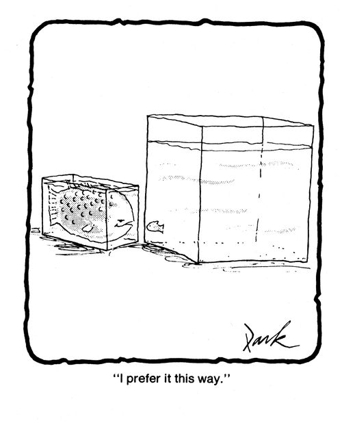 'I prefer it this way.'