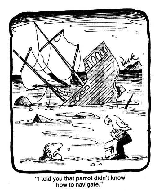 'I told you that parrot didn't know how to navigate.'