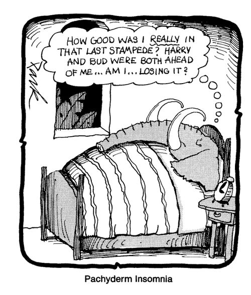 Pachyderm insomnia.
