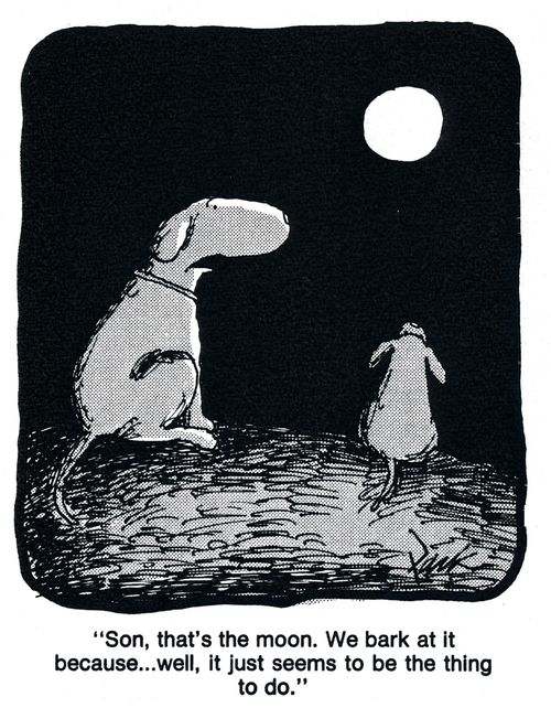 'Son, that's the moon. We bark at it because...well, it just seems to be the best thing to do.'