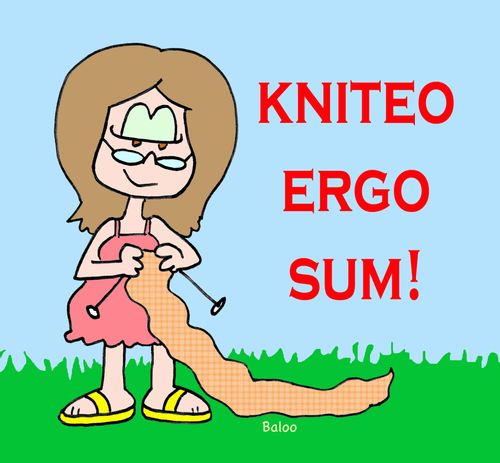 KNITEO ERGO SUM!