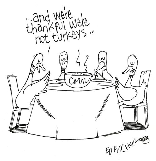 Thanksgiving Ducks - thankful we're not turkeys.