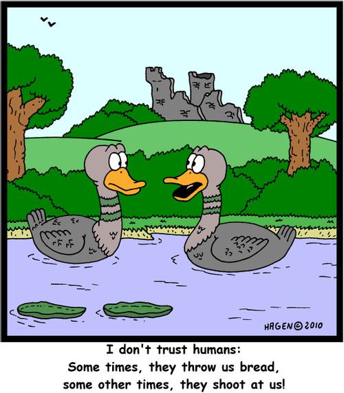 'I don't trust humans: Some times, they throw us bread, some other times, they shoot at us!'
