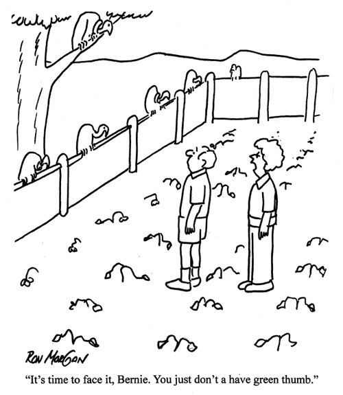 'It's time to face it, Bernie. You just don't have a green thumb.'