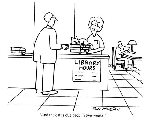 'And the cat is due back in 2 weeks.'  