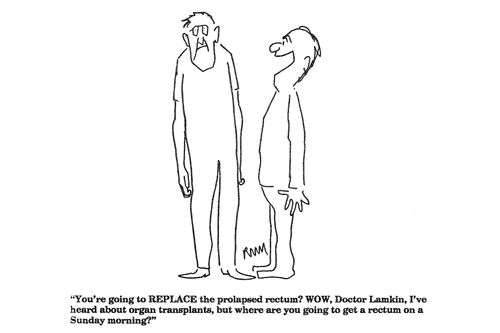 'You're going to REPLACE the prolapsed rectum?...'
