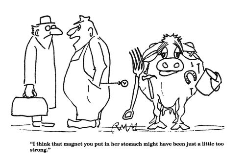 'I think that magnet you put in her stomach might have been just a little too strong.'
