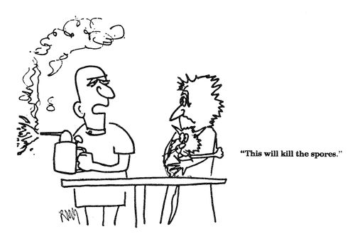 'This will kill the spores.'
