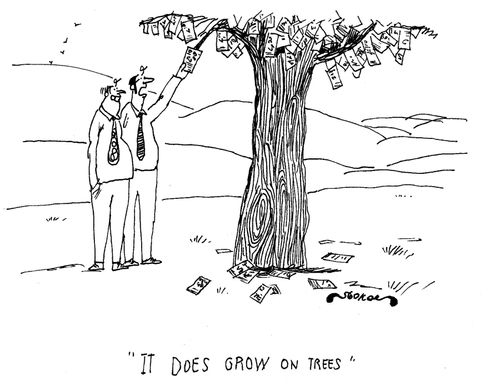 'It does grow on trees!'