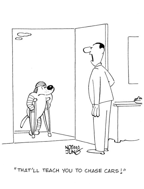 That'll teach you to chase cars!'