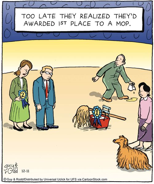 Too late they realized they'd awarded 1st place to a mop. 