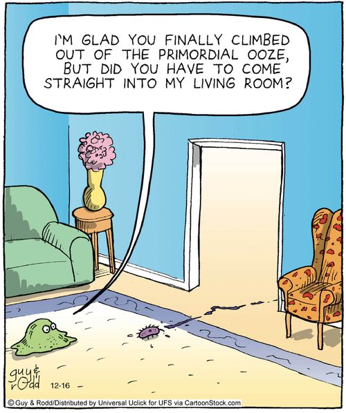 'I'm glad you  finally climbed out of the primordial ooze, but did you have to come straight into my living room?'