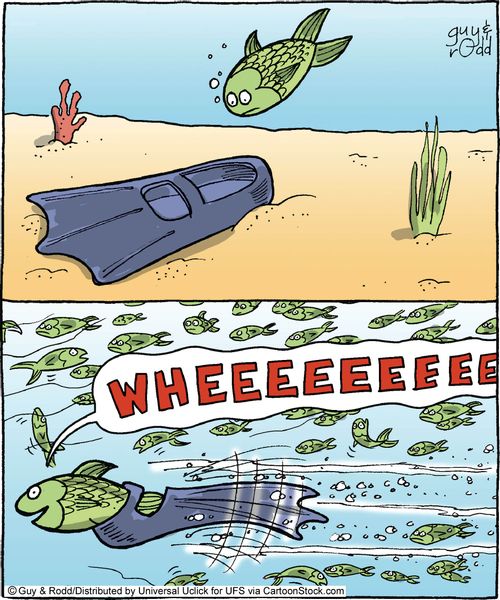 Flipper fish!