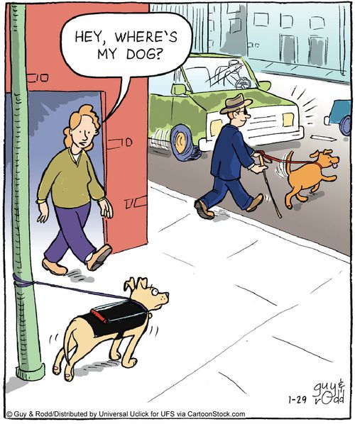 'Hey, where's my dog?'