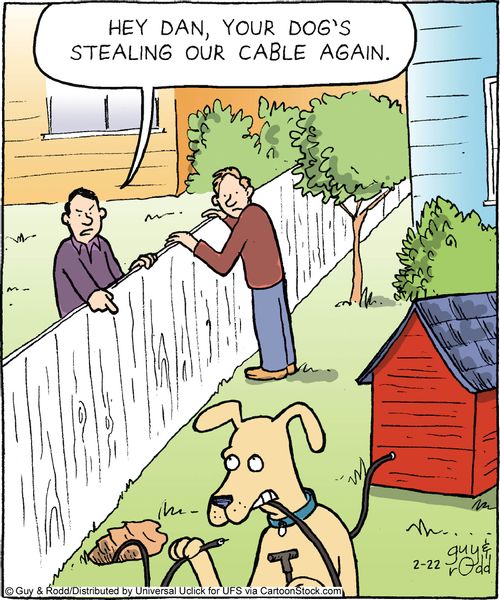 'Hey Dan, your dog' stealing our cable again.'