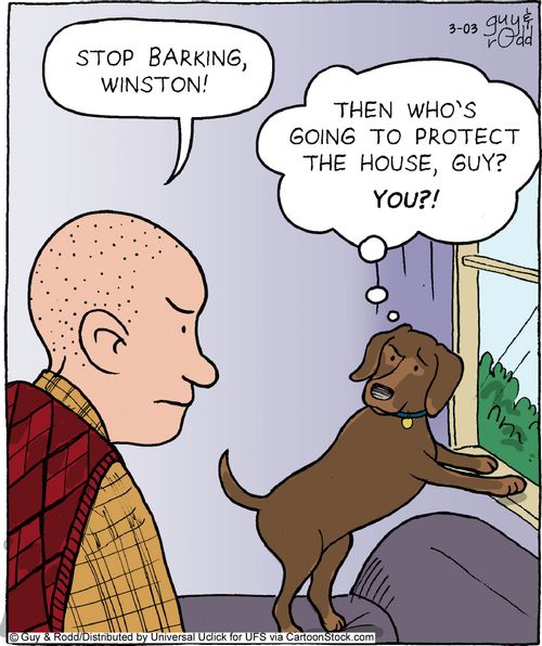 'Stop barking, Winston!'