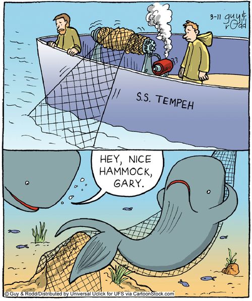 'Hey, nice hammock, Gary.'